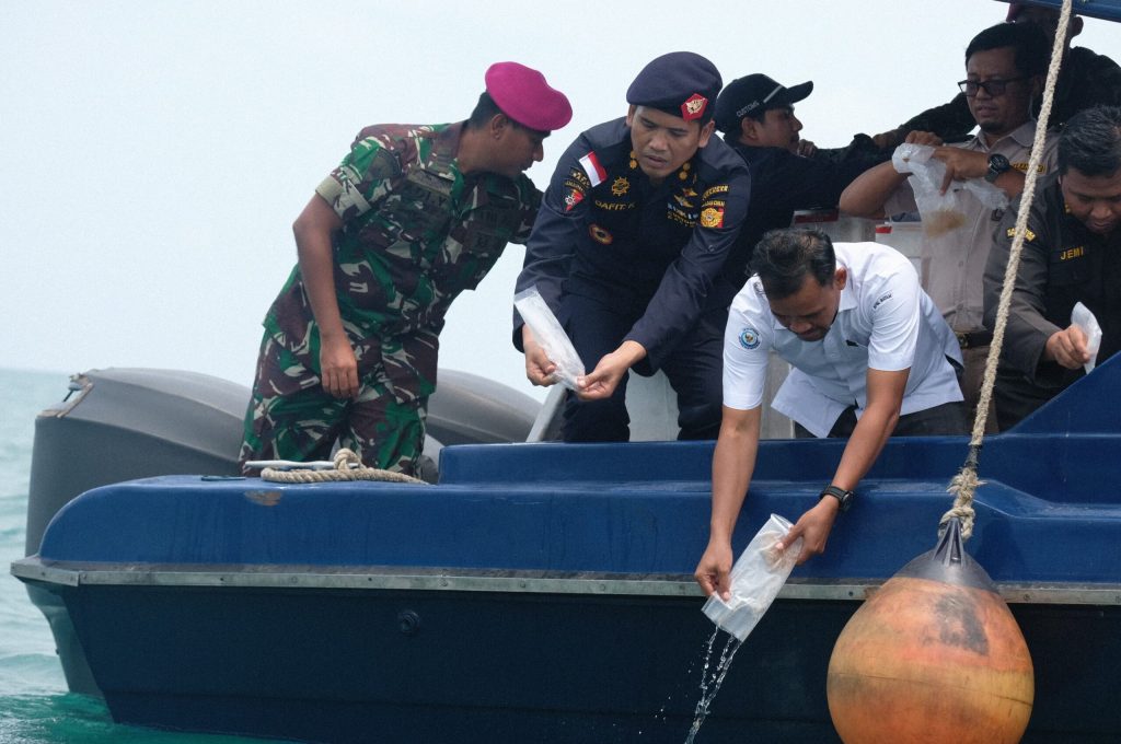 Lagi, Bea Cukai Gagalkan Penyelundupan 275.000 Benih Lobster Tujuan Malaysia
