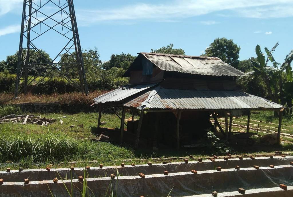 Bahaya Jaringan Transmisi SUTT PLTU Teluk Sepang Bengkulu!!!